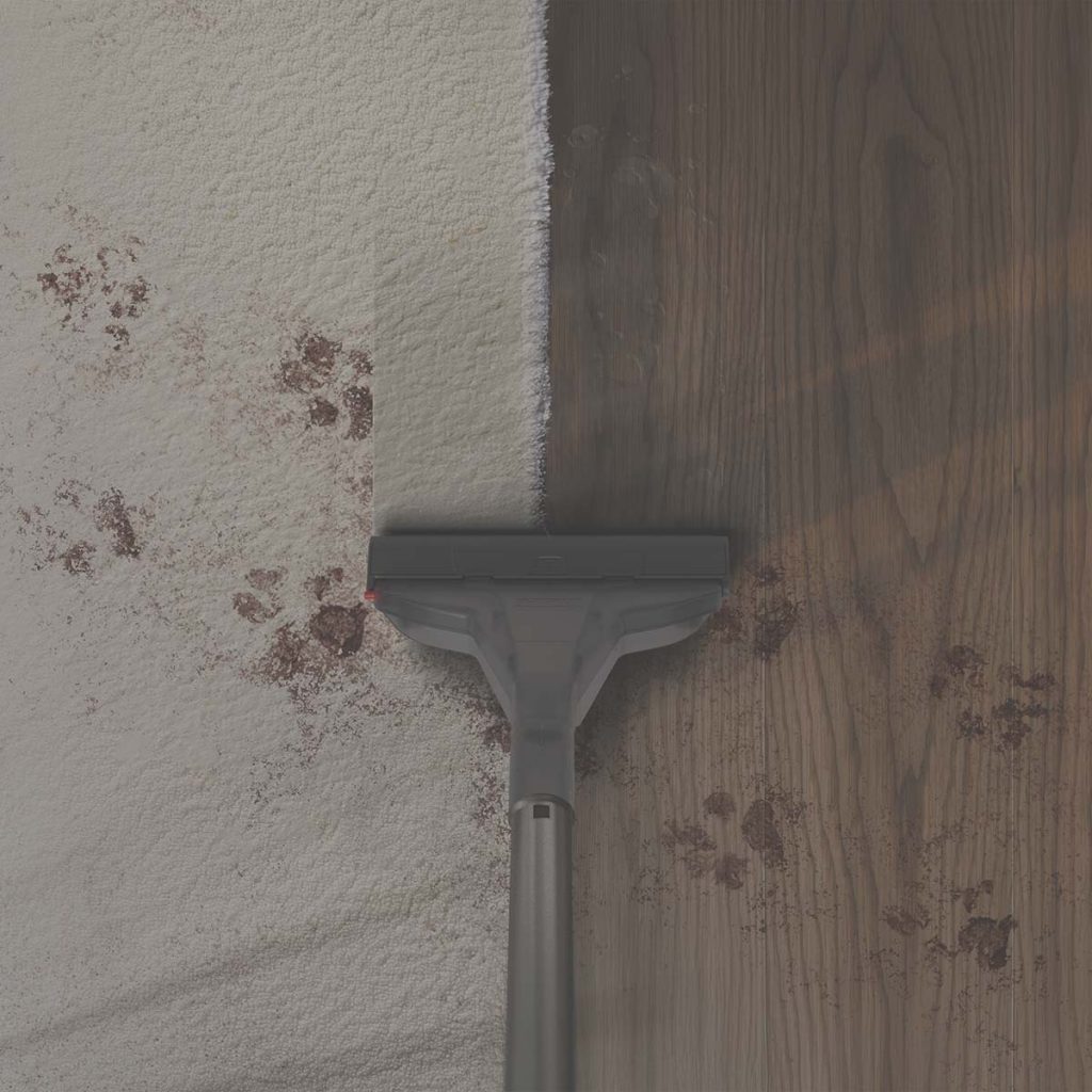 Thomas Amfibia Pro Evo – a tisztaságmániások prémium takarítógépe